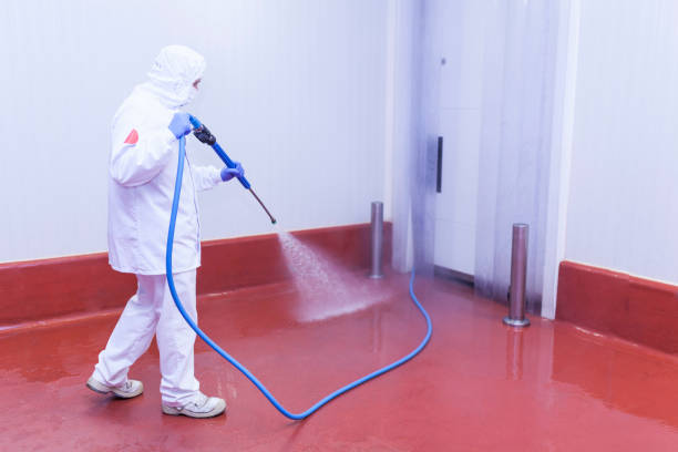 Best Sidewalk and Walkway Pressure Cleaning in Ly Lake, IL