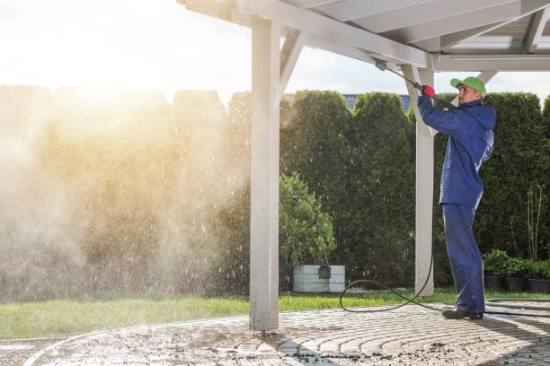Best Window and Screen Pressure Cleaning in Ly Lake, IL