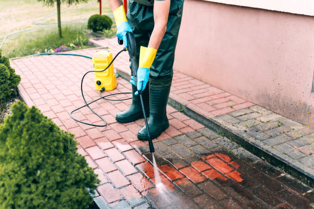 Best Fence Cleaning and Maintenance in Ly Lake, IL