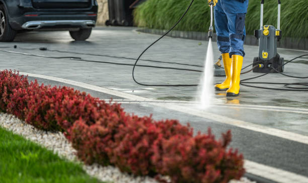 Best Parking Lot Cleaning in Ly Lake, IL
